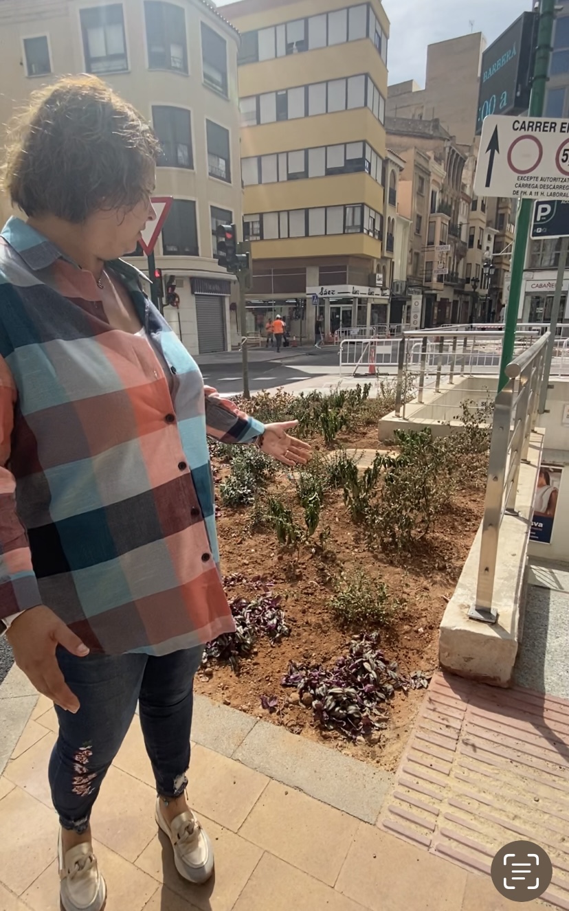 “Plantas muertas y calles convertidas en un páramo integran la renaturalización de Begoña Carrasco”