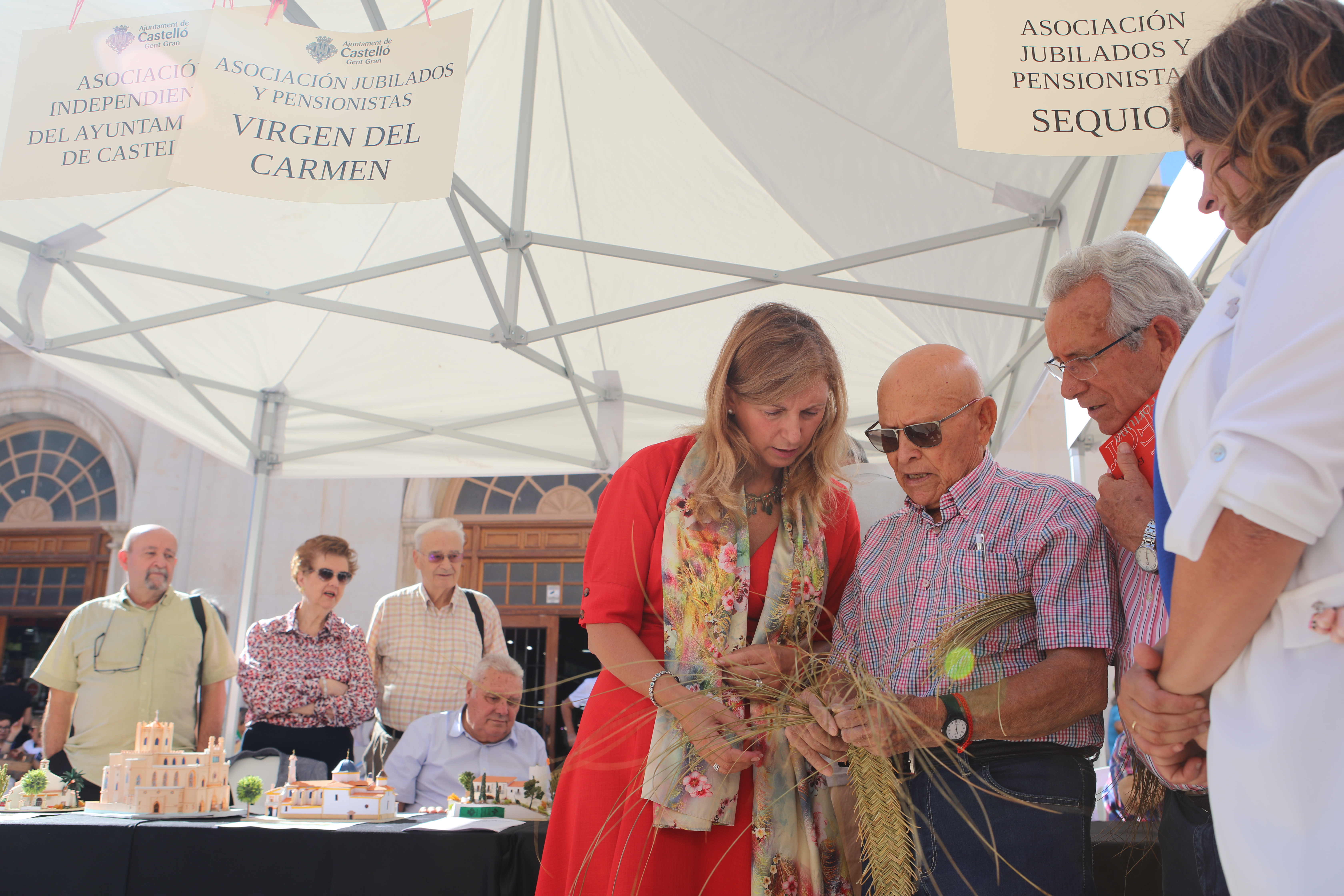 Castelló analiza las necesidades de las personas mayores para renovar el proyecto de ‘Ciudad Amigable’